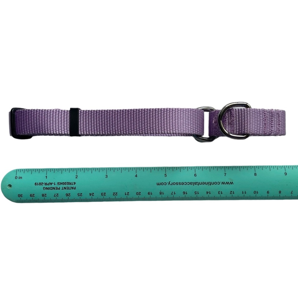 NEW Lilac Purple Martingale Dog Collar M/L NWOT Blueberry Pet - Picture 3 of 8